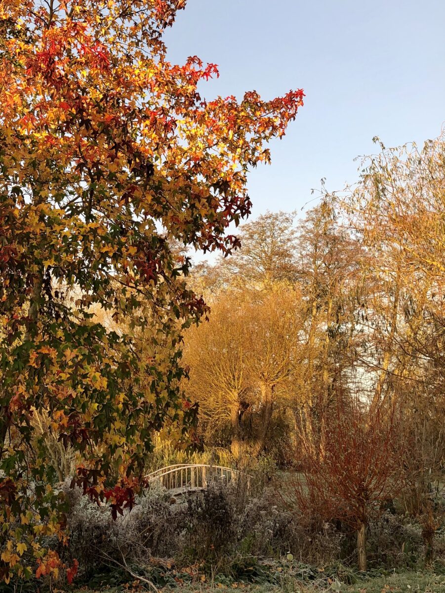 Autumn colours in Suffolk