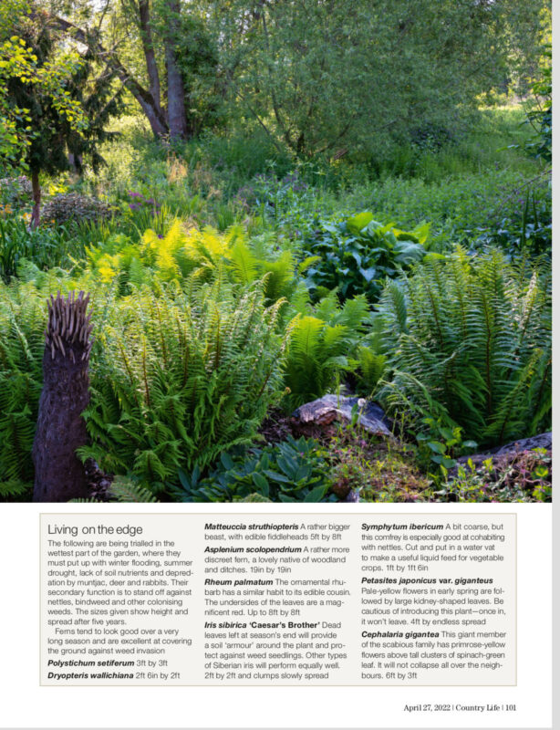 Country Life May 2022 - Gardening on the edge Article last page